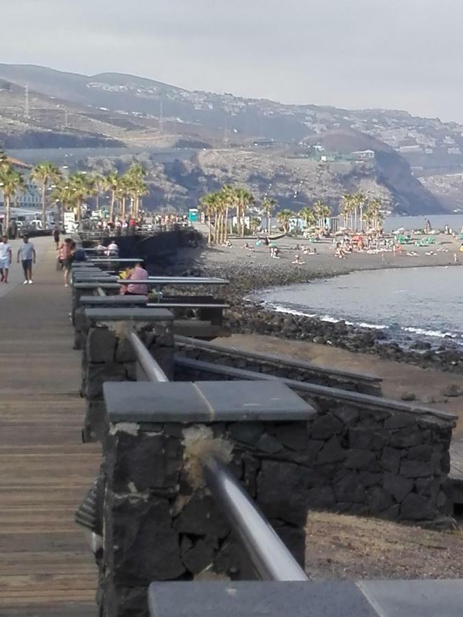 Paradise كانديلاريا المظهر الخارجي الصورة