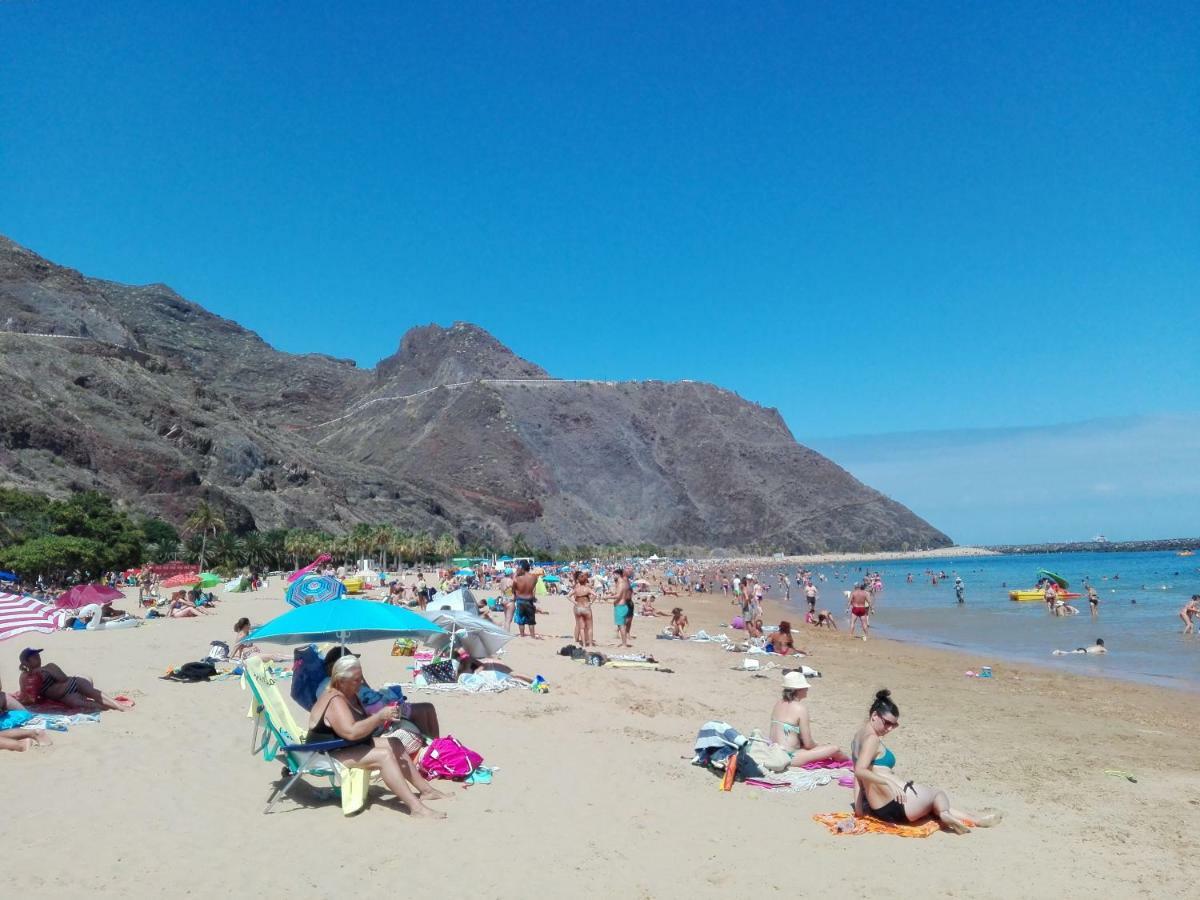 Paradise كانديلاريا المظهر الخارجي الصورة