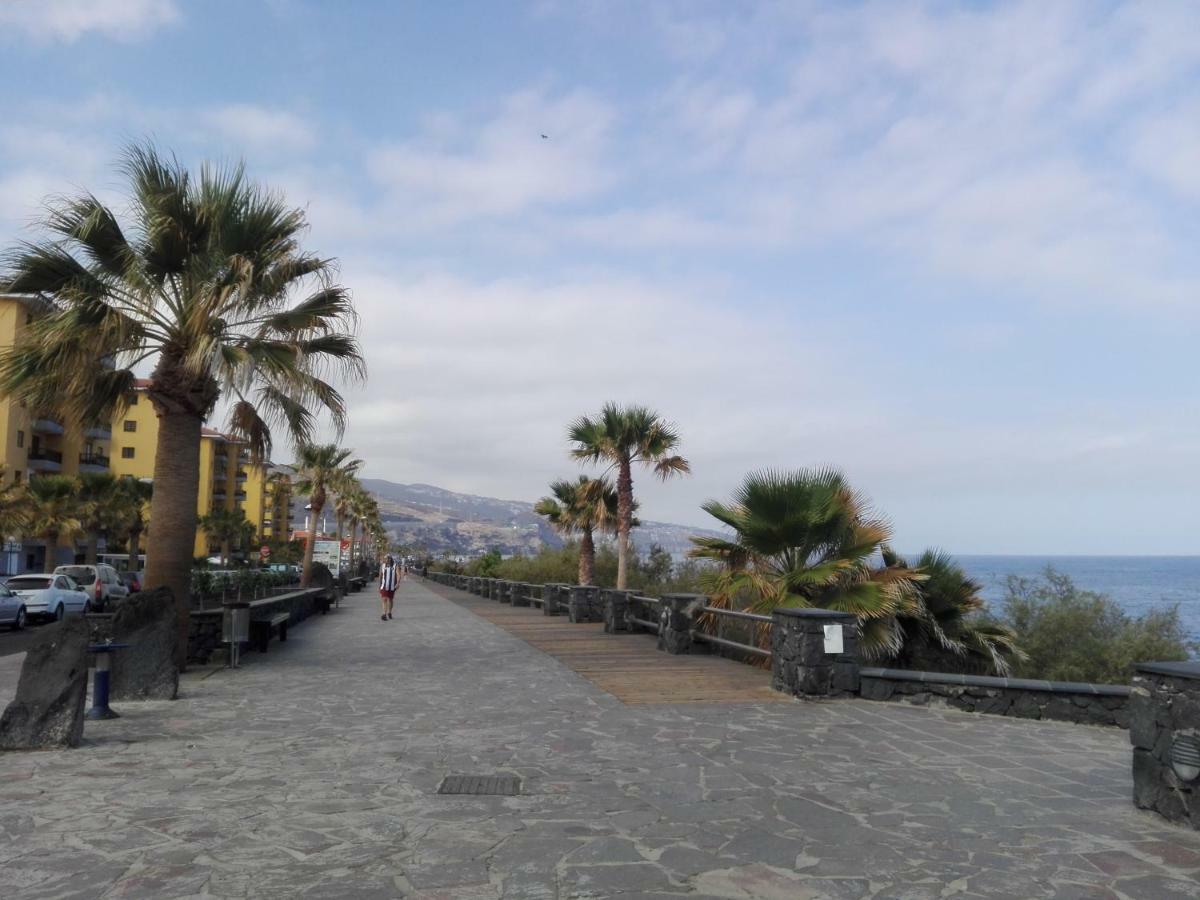 Paradise كانديلاريا المظهر الخارجي الصورة
