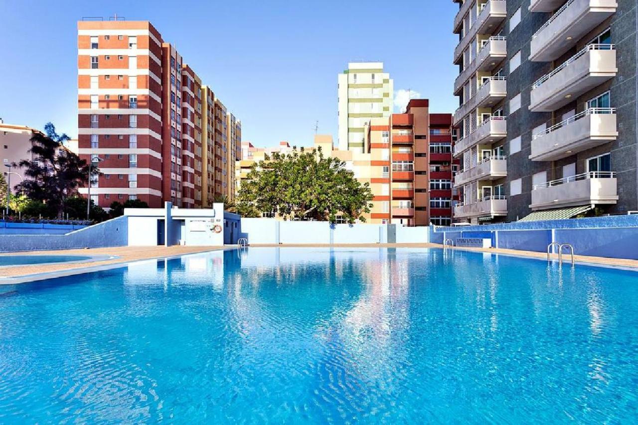 Paradise كانديلاريا المظهر الخارجي الصورة