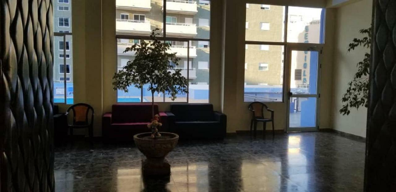 Paradise كانديلاريا المظهر الخارجي الصورة